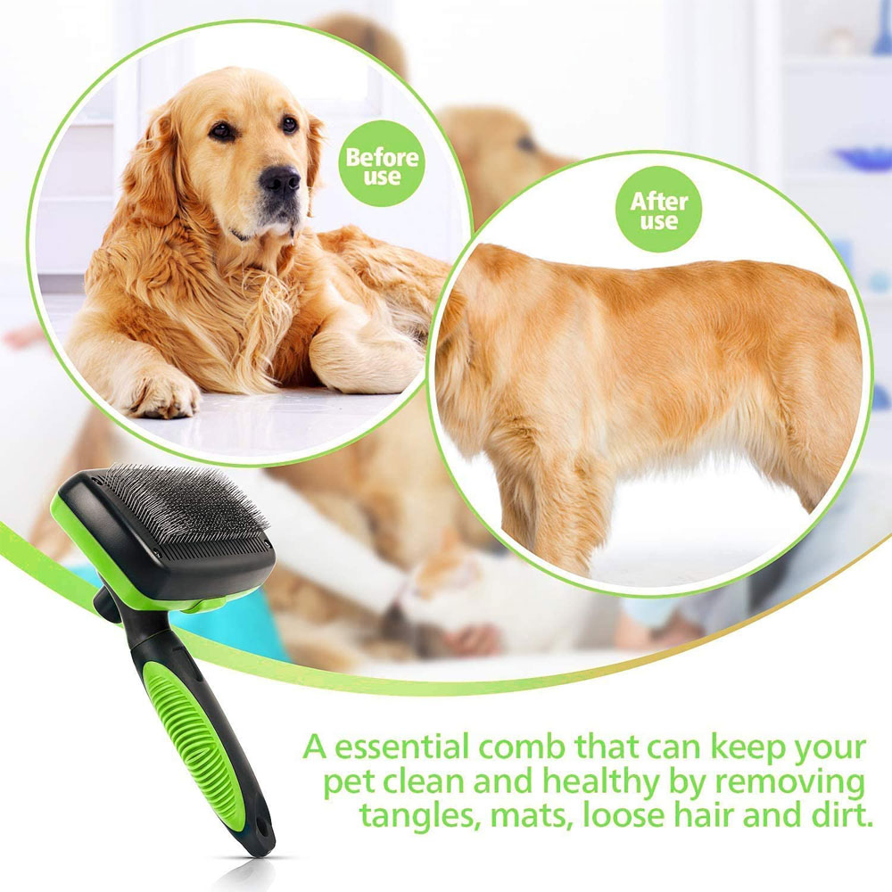 Brosse autonettoyante pour chien