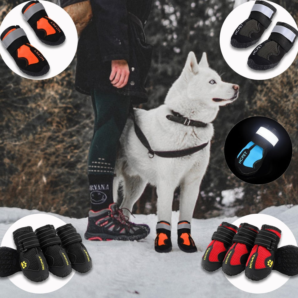 Bottes imperméables et réfléchissantes pour chiens