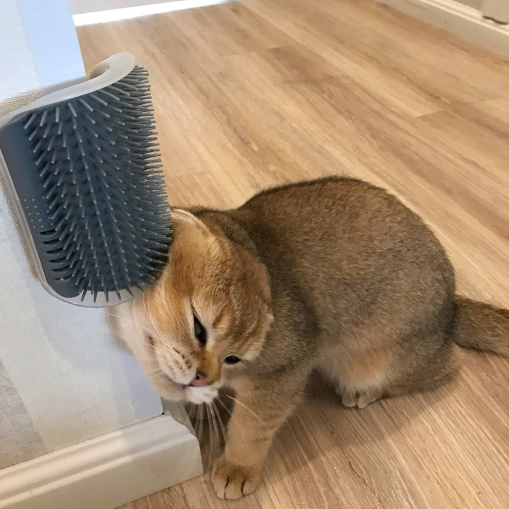 Brosse d'angle pour toiletteur de chat
