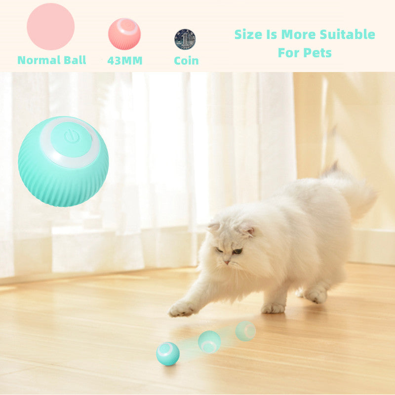 Jouets à balles pour chats intelligents