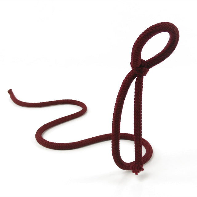 Bouteille de vin suspendue par une corde