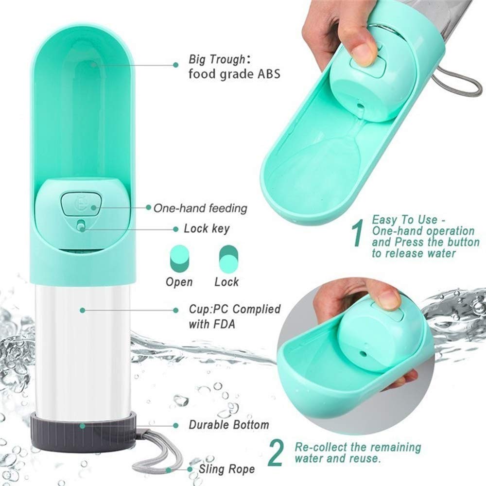 Bouteille d'abreuvement portable pour chien