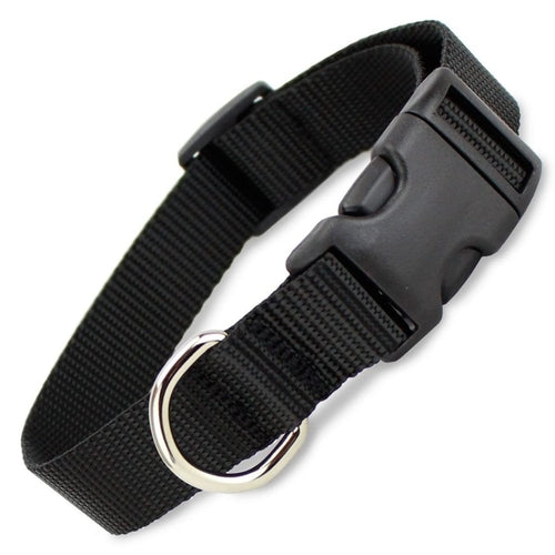 Lightweight Adjustable Dog Collar with D Ring