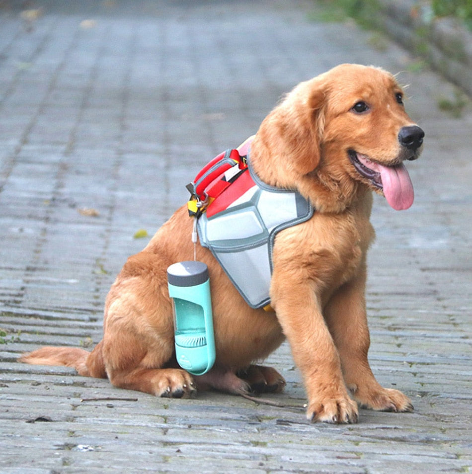 Bouteille d'abreuvement portable pour chien